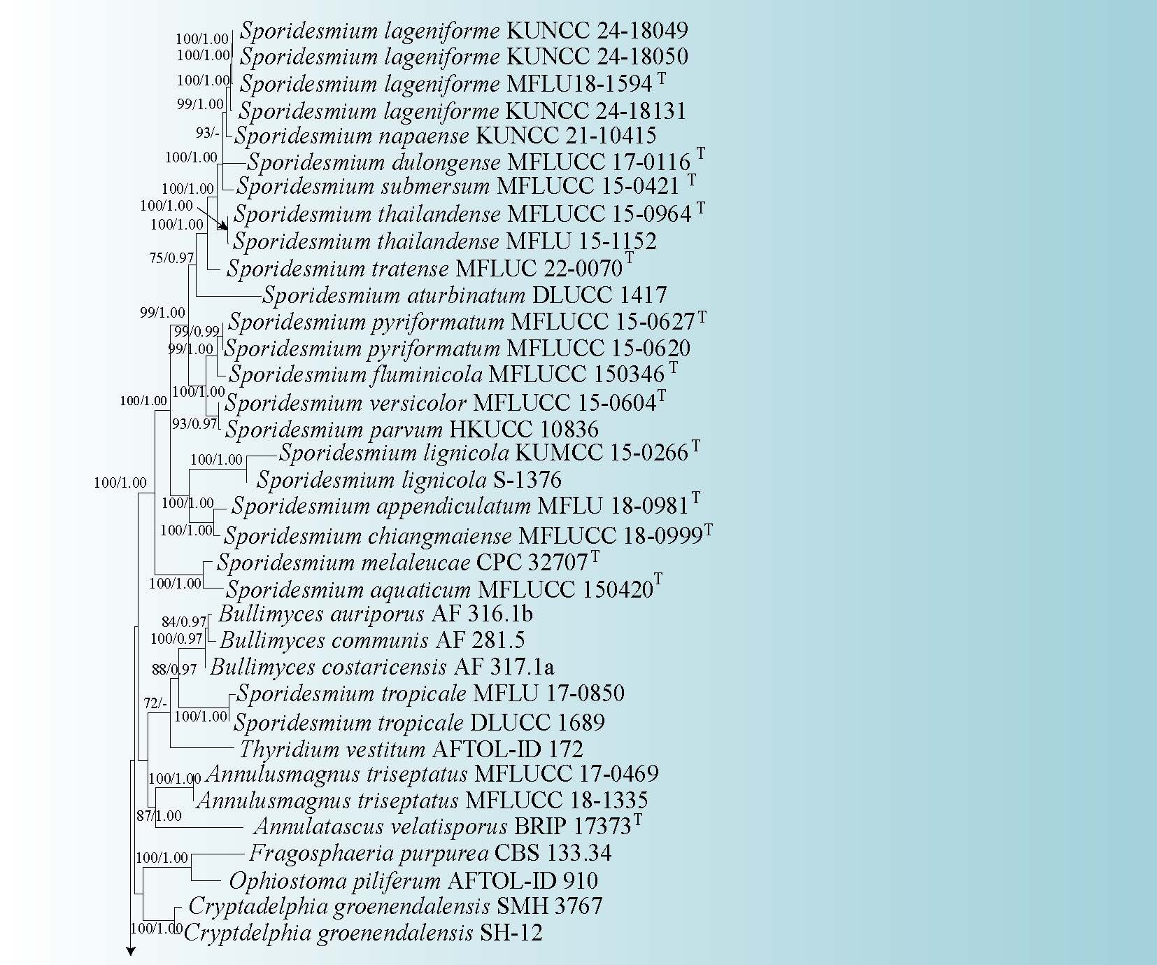 Figure 105